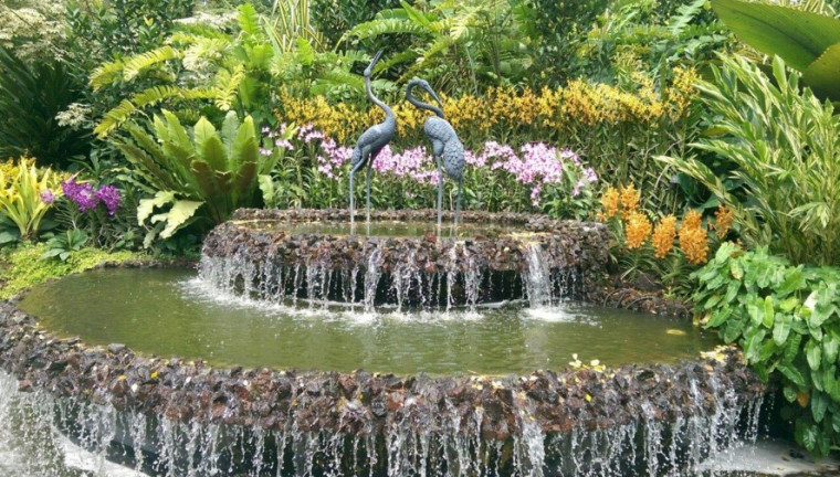 Botanic Gardens 8