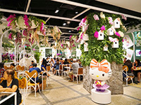 Hello Kitty Orchid Garden 2