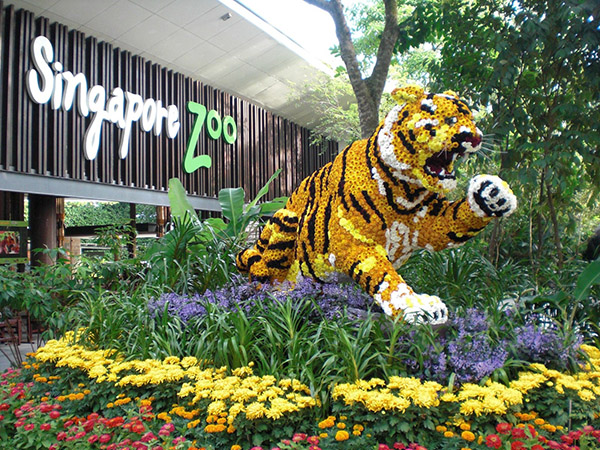 Singapore Zoo 8
