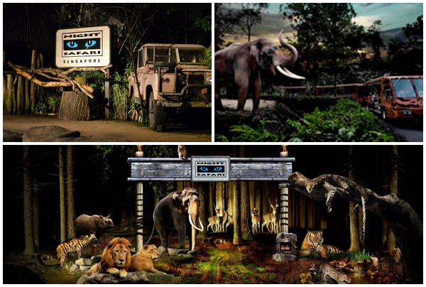 night safari 7