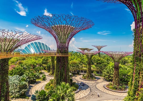 Kinh nghiem du lich Garden By The Bay Singapore Supertree Grove